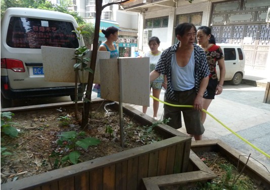 爵士蓝岛社区党员志愿者义务为花草浇水