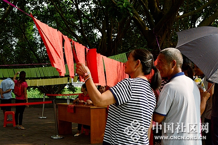 月亮桂花树猜成语_月亮桂花树图片(3)