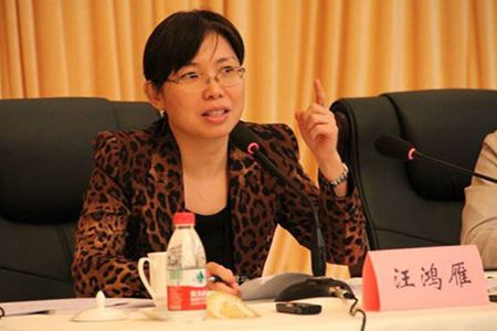 汪鸿雁:一年至少孵化五个志愿者组织-人物观点