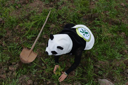 一位志愿者小心翼翼地将树苗埋在土壤里.jpg