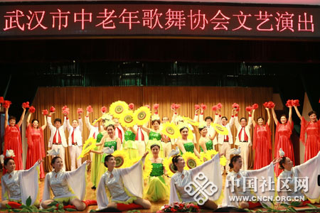 武汉市中老年歌舞协会成立大会在武昌南湖邻里文化中心礼堂隆重召开.jpg