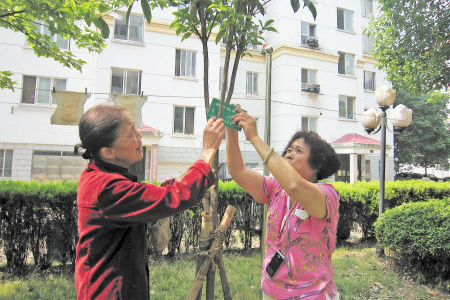 咸嘉新村社区居民认领绿化广场的树木.jpg