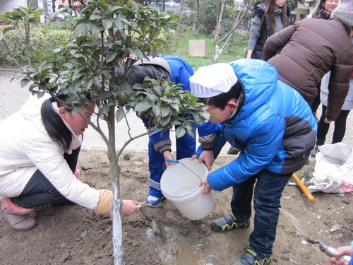 植树节,为激发海陵区城中街道钟楼社区青少年和少数民族学生爱护周边